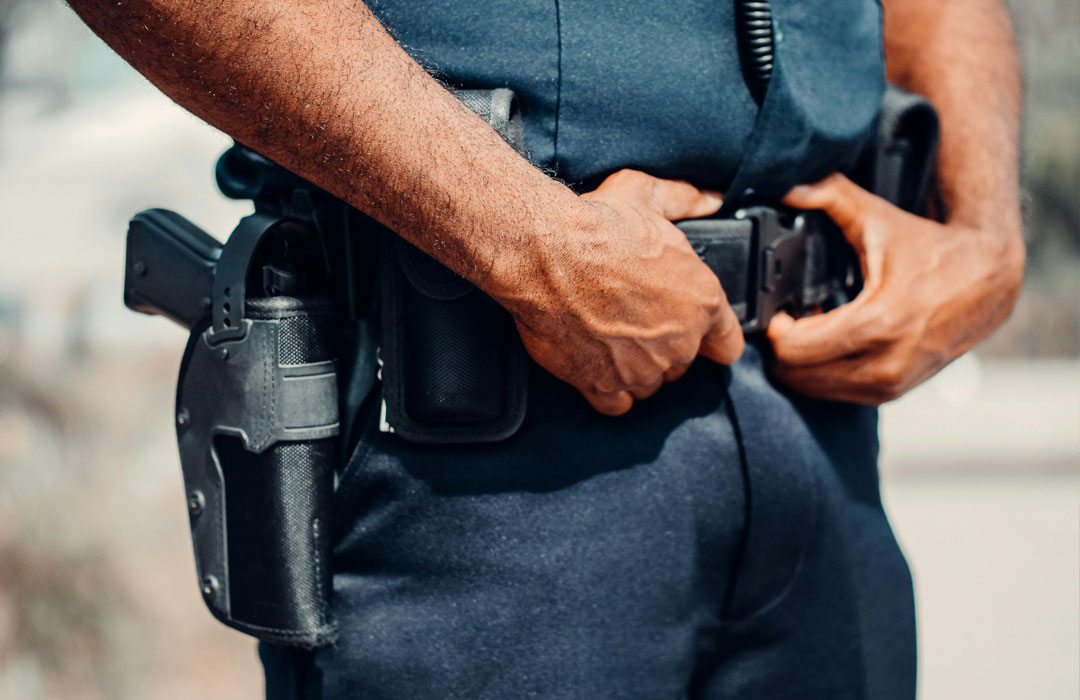 Professional Security Services